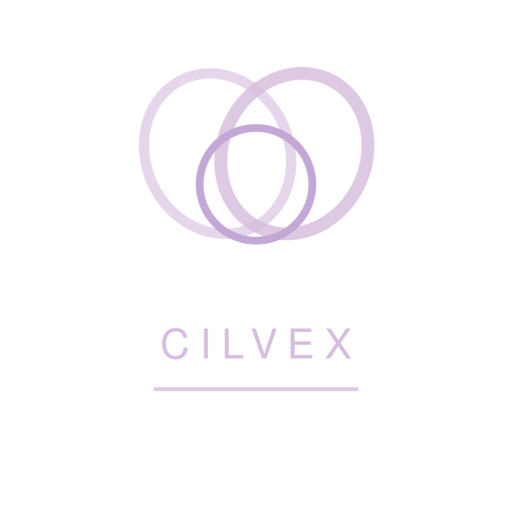 Логотип SkillriseHub